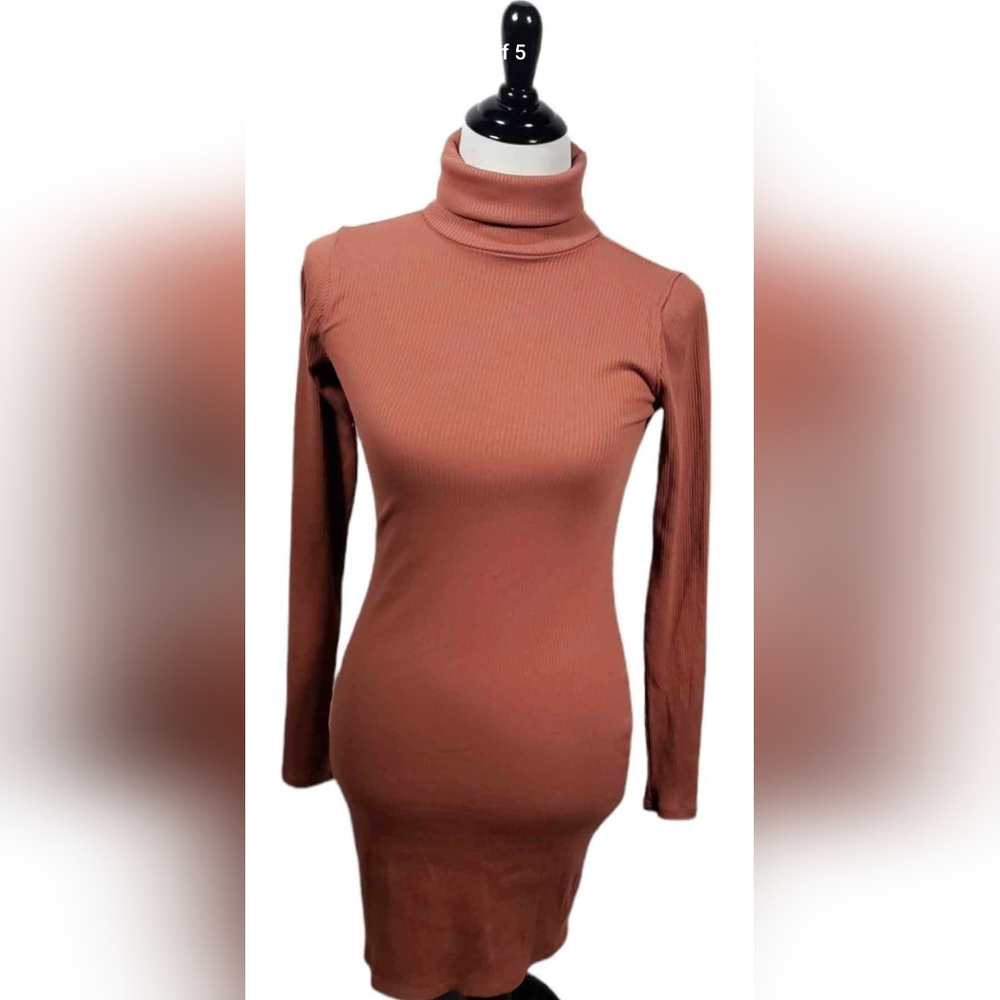 Wild Fable Small Blush Brown Long Sleeve Turtleneck Dress NWT